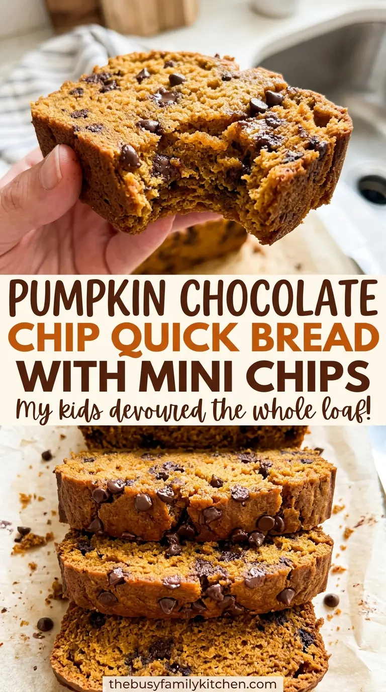 Pumpkin Chocolate Chip Quick Bread with Mini Chips, soft pumpkin crumb and melty chips